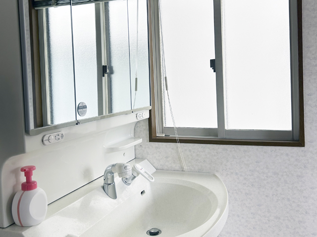 ウイング画像08